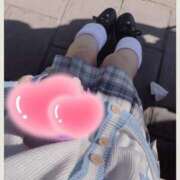 ヒメ日記 2025/10/30 12:18 投稿 はまち ノース -North-