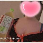 ヒメ日記 2025/12/07 18:06 投稿 はまち ノース -North-