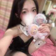 ヒメ日記 2025/11/19 13:01 投稿 れいな JAPAN CLUB BUNNY LOUNGE