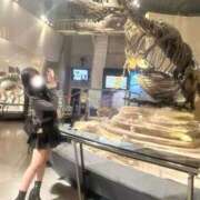 ヒメ日記 2026/03/05 16:02 投稿 れいな JAPAN CLUB BUNNY LOUNGE