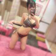ヒメ日記 2026/08/17 18:15 投稿 れいな JAPAN CLUB BUNNY LOUNGE