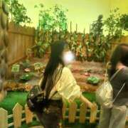ヒメ日記 2026/08/19 12:07 投稿 れいな JAPAN CLUB BUNNY LOUNGE