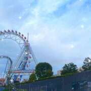 『みや』 見つけたらラッキー🌟 ESSENCE