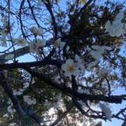 ヒメ日記 2026/02/26 18:05 投稿 『みや』 ESSENCE