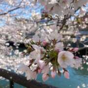 ヒメ日記 2026/04/13 14:02 投稿 『みや』 ESSENCE