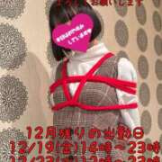 ヒメ日記 2025/12/18 12:02 投稿 えま 涼泉（りょうせん）