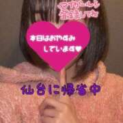 ヒメ日記 2025/12/29 08:16 投稿 えま 涼泉（りょうせん）