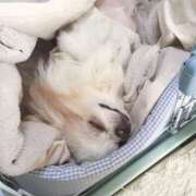 えま 大切な人と家族を想う休日 涼泉（りょうせん）