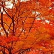 高良 出張終了ヾ(o´∀｀o)ﾉ 熟女の風俗最終章　鶯谷店