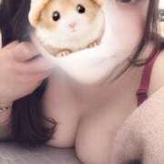 ヒメ日記 2026/02/06 15:25 投稿 すずか 栃木宇都宮ちゃんこ