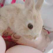 ヒメ日記 2025/11/09 06:00 投稿 れむ 吉野ケ里人妻デリヘル 「デリ夫人」