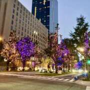 ヒメ日記 2025/11/12 18:10 投稿 柳原せつな 一夜妻