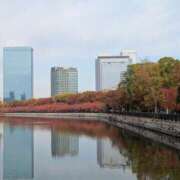 ヒメ日記 2025/11/24 22:59 投稿 柳原せつな 一夜妻