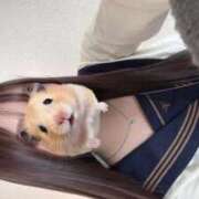 ヒメ日記 2025/10/29 12:22 投稿 みこと E+アイドルスクール品川店