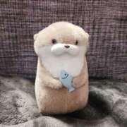 ヒメ日記 2026/01/13 14:28 投稿 もか 小岩人妻花壇