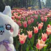 ヒメ日記 2026/03/14 23:28 投稿 もか 小岩人妻花壇