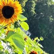 ヒメ日記 2025/11/11 09:57 投稿 まりあ ちょこMOCA