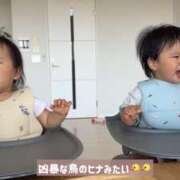 ヒメ日記 2026/05/29 13:48 投稿 ゆいな しゅうかつ倶楽部