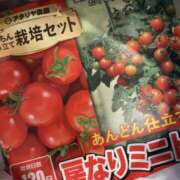 ゆいな 🍅トマト🍅( ˶>ᴗ<˶)🎵　 しゅうかつ倶楽部