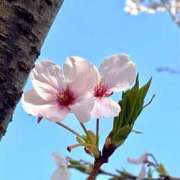 ヒメ日記 2026/04/01 12:36 投稿 富永　ゆな 熟女パラダイス池袋店(カサブランカグループ)