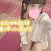 ヒメ日記 2026/08/20 08:15 投稿 いと ナチュラルプリンセス
