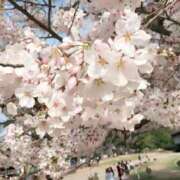 ヒメ日記 2026/03/30 12:06 投稿 香澄 鶯谷人妻城