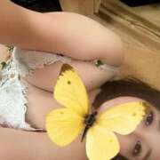 ヒメ日記 2025/11/26 18:42 投稿 ふゆき 熟女の風俗最終章 新宿店