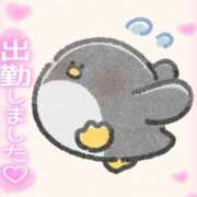 ヒメ日記 2026/02/19 16:27 投稿 【熟女】しき a．bitch α