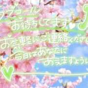 ヒメ日記 2026/04/06 12:05 投稿 【熟女】しき a．bitch α