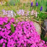 ヒメ日記 2026/04/14 10:15 投稿 【熟女】しき a．bitch α