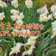 ヒメ日記 2026/04/15 11:45 投稿 【熟女】しき a．bitch α