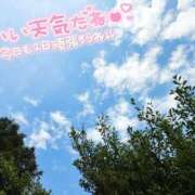 ヒメ日記 2026/05/12 09:55 投稿 【熟女】しき a．bitch α