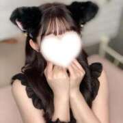 ヒメ日記 2025/11/14 13:56 投稿 せれな チューリップ姫路店