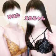 ひなた 退勤＆次回出勤日🐹 かりんと吉祥寺