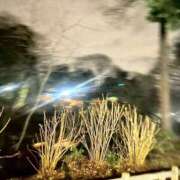 ひなた ひなさんぽ✨ かりんと吉祥寺