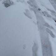 ヒメ日記 2026/02/08 17:02 投稿 ひなた 吉祥寺 添い寝女子