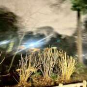 ヒメ日記 2026/02/13 08:24 投稿 ひなた 吉祥寺 添い寝女子