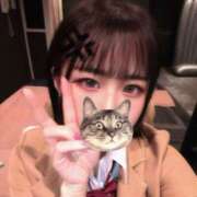 ヒメ日記 2025/10/30 15:31 投稿 まあや アラカルト