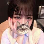 ヒメ日記 2025/11/09 22:31 投稿 まあや アラカルト