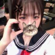 ヒメ日記 2025/11/20 09:09 投稿 まあや アラカルト