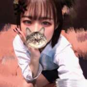 ヒメ日記 2025/12/04 12:50 投稿 まあや アラカルト