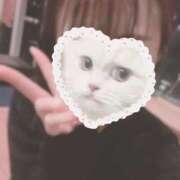 ヒメ日記 2026/01/22 16:38 投稿 まあや アラカルト