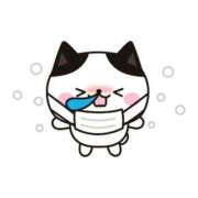 ヒメ日記 2026/03/03 10:54 投稿 まあや アラカルト