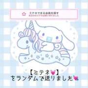 ヒメ日記 2026/03/24 11:25 投稿 まあや アラカルト