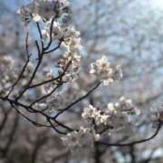 ヒメ日記 2026/04/28 14:21 投稿 新人・亜依(あい) グランドオペラ東京