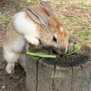 ヒメ日記 2026/03/31 22:32 投稿 みさと 神戸回春性感マッサージ倶楽部