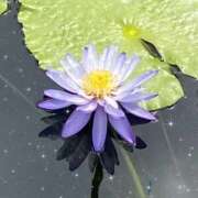 ヒメ日記 2026/01/02 09:02 投稿 綾香(あやか) PLUS梅田店