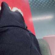 ヒメ日記 2025/11/03 11:53 投稿 田宮 鶯谷デッドボール