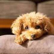 ヒメ日記 2026/02/25 18:39 投稿 田宮 鶯谷デッドボール