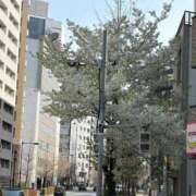 ヒメ日記 2026/03/29 10:23 投稿 田宮 鶯谷デッドボール